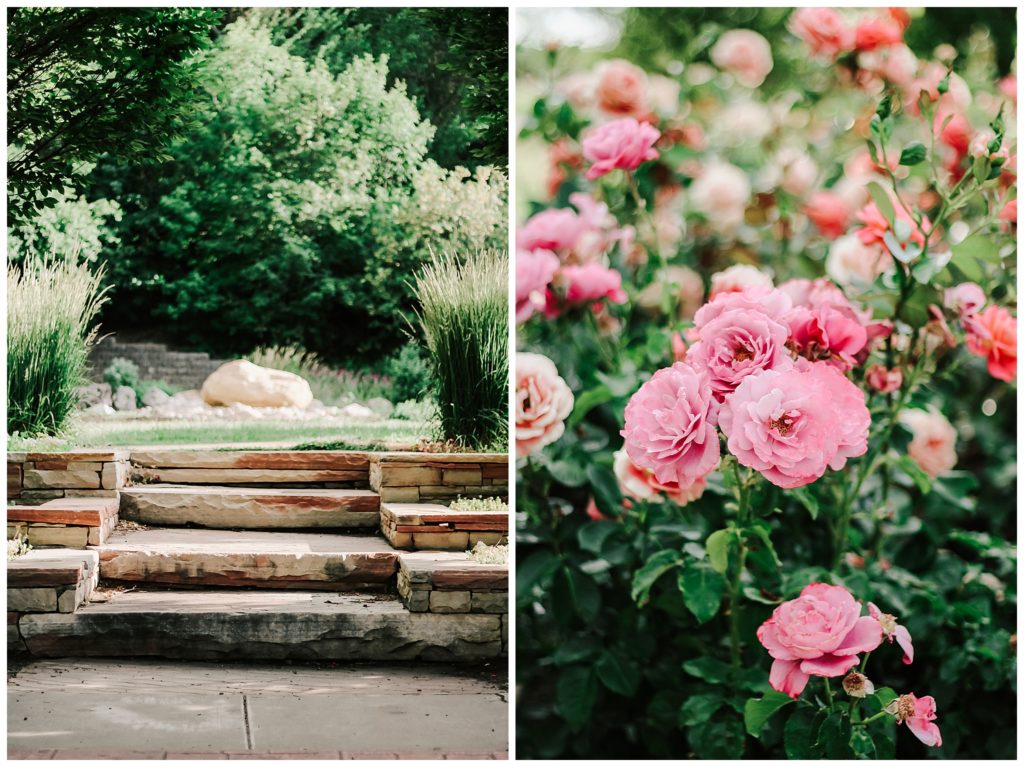 the rose garden at the ogden botanical garden by adrian wayment photo