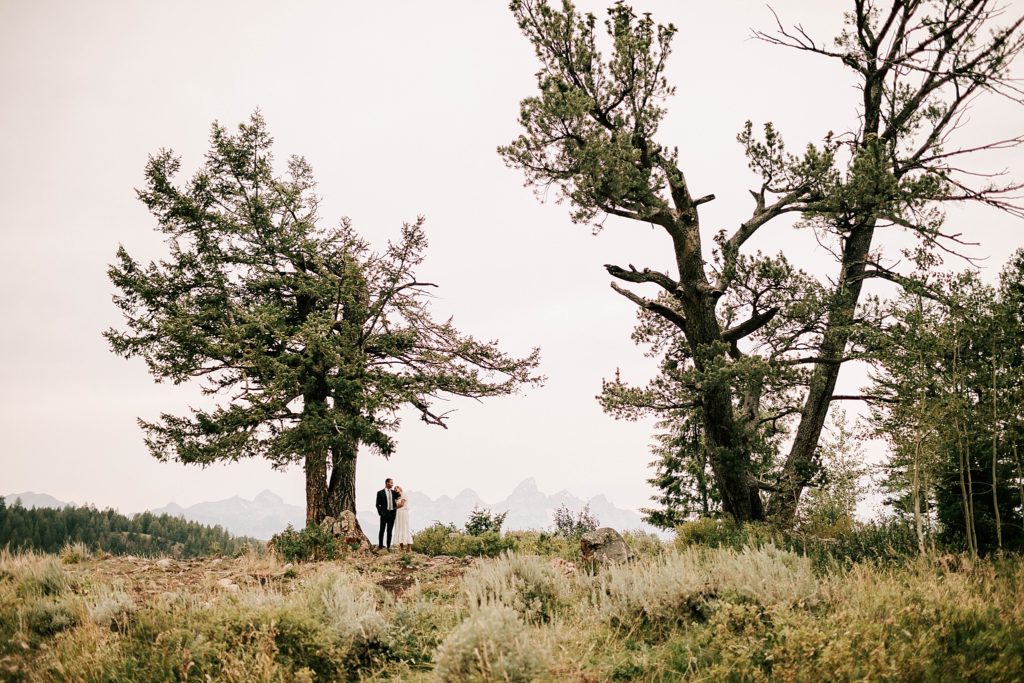 Why The Wedding Tree Near Jackson Hole is Best for Elopements