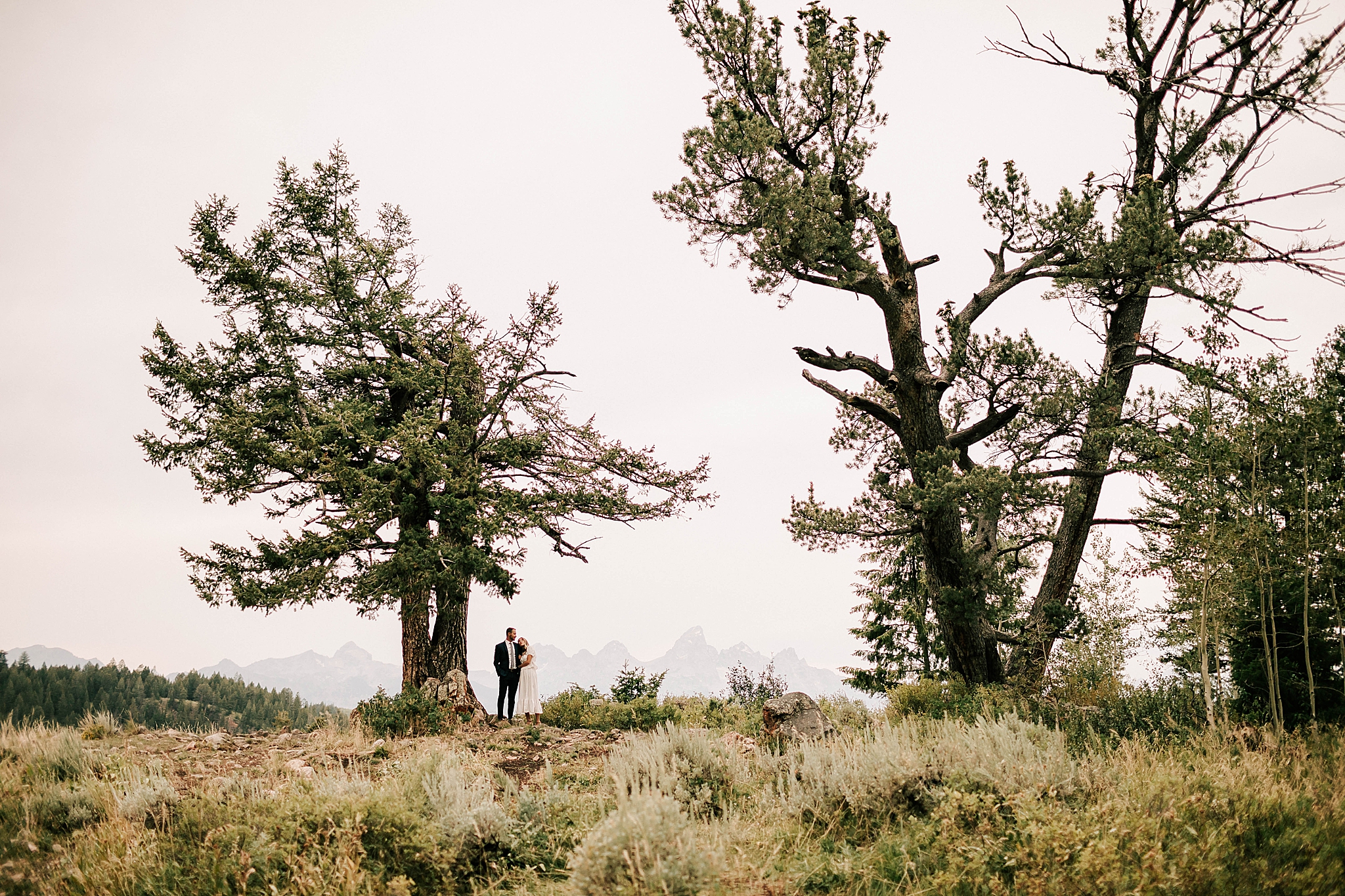 bride and groom standing next to each other after their wedding tree elopement outside of grand teton national park taken by adrian wayment photo
