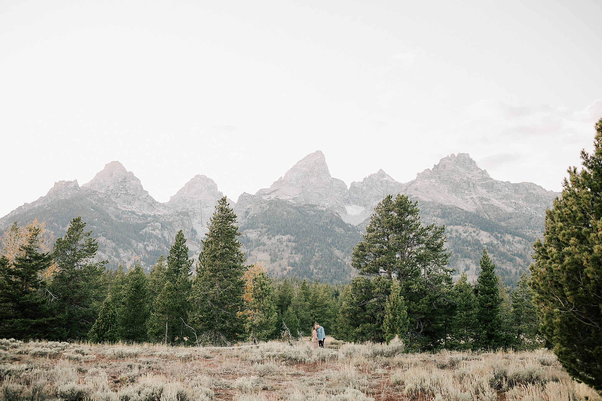 engaged boy and girl kissing in grand teton national park during their engagement session.